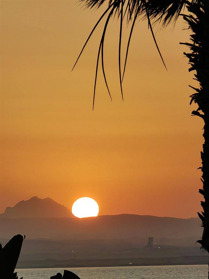 Magical Egypt Real Estate Aegypten Hurghada Immobilien und Unterkuenfte 1172c3