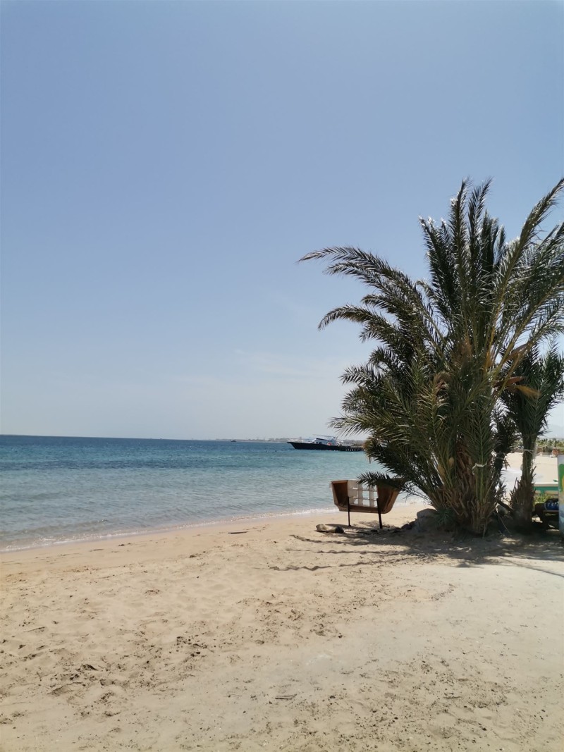 Magical Egypt Real Estate Aegypten Hurghada Immobilien und Unterkuenfte 5
